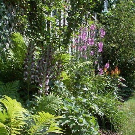 Antique Slumber Old Town Bed & Breakfast Niagara-on-the-Lake Esterno foto