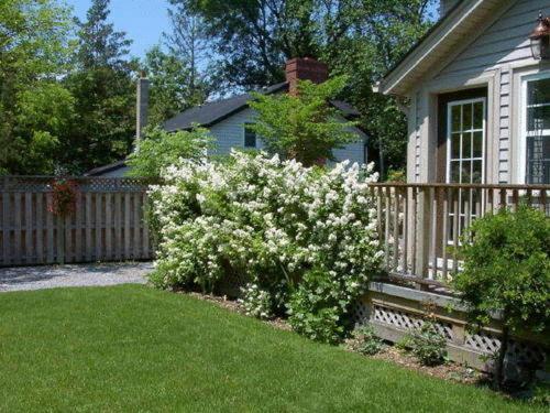 Antique Slumber Old Town Bed & Breakfast Niagara-on-the-Lake Esterno foto