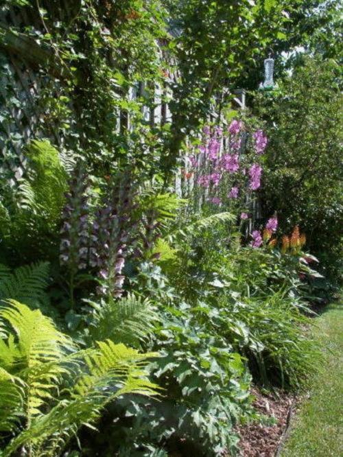 Antique Slumber Old Town Bed & Breakfast Niagara-on-the-Lake Esterno foto